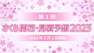 2023年第1回さくら開花・見頃予想　福岡・高知・宮崎から開花スタート！