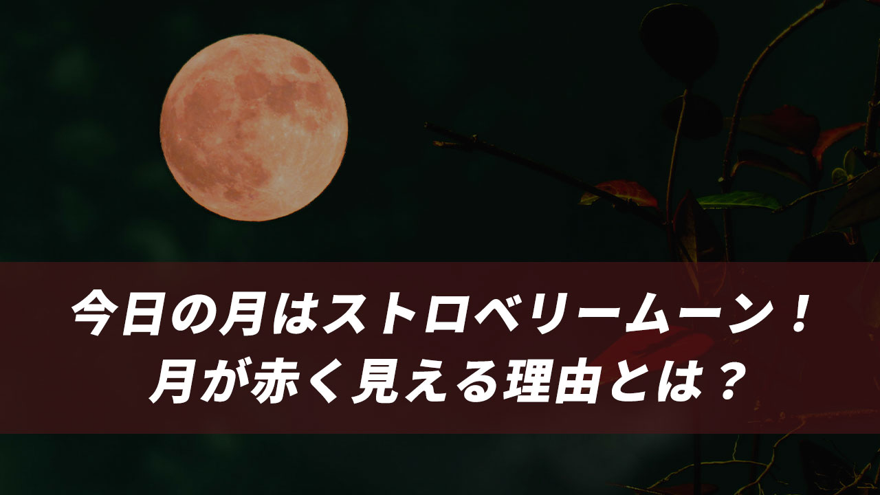 今日の月はストロベリームーン！ 月が赤く見える理由とは？