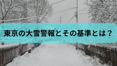 東京の大雪警報とその基準とは？過去の事例や対策を解説