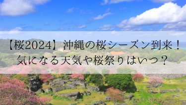 【桜2024】沖縄の桜シーズン到来！気になる天気や桜祭りはいつ？
