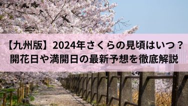 【九州版】2024年さくらの見頃はいつ？開花日や満開日の最新予想を徹底解説