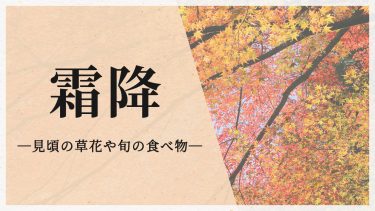 今日は二十四節気の「霜降」　この時期が見頃の草花や旬の食べ物は？