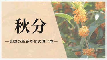 今日は二十四節気の「秋分」　この時期が見頃の草花や旬の食べ物は？