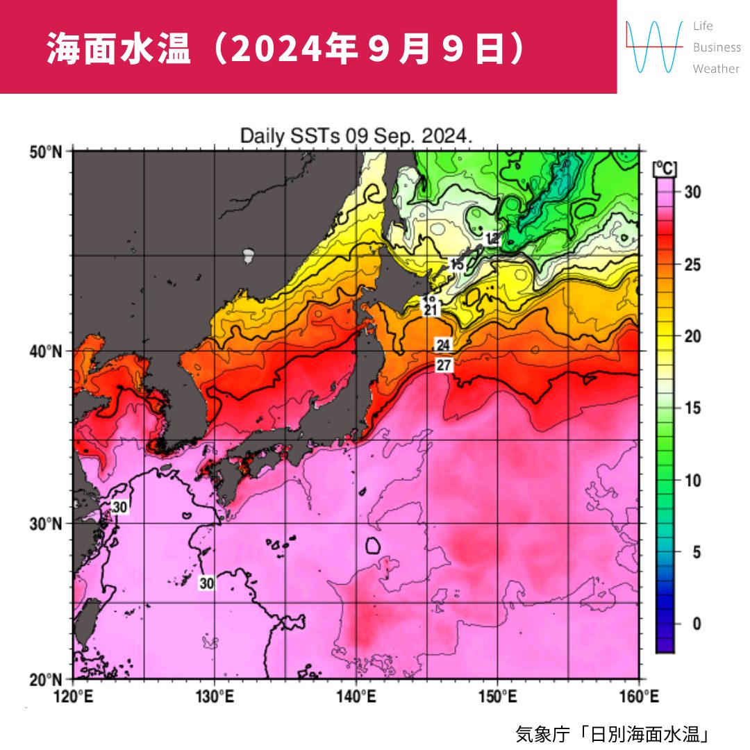 海面水温0909