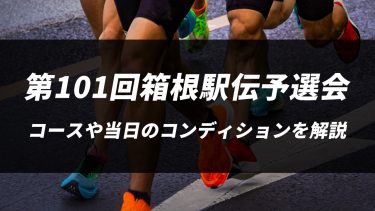 【第101回箱根駅伝予選会】コースや当日のコンディションを解説