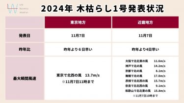 2024年 木枯らし1号