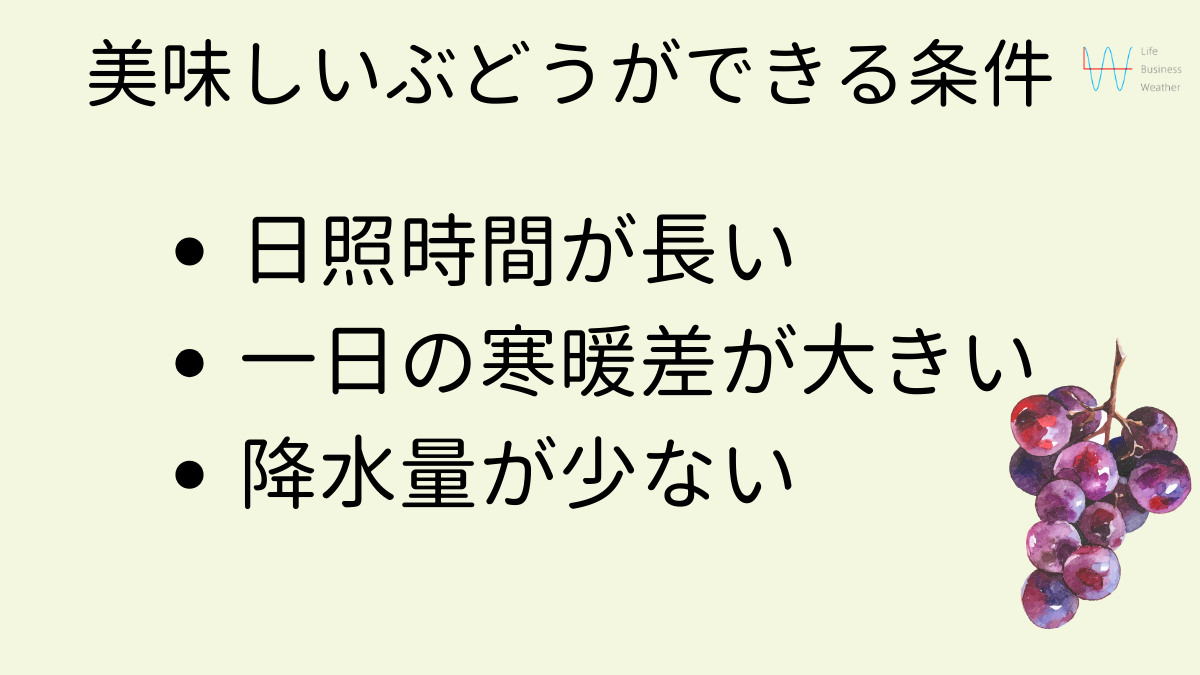 美味しいぶどうができる条件