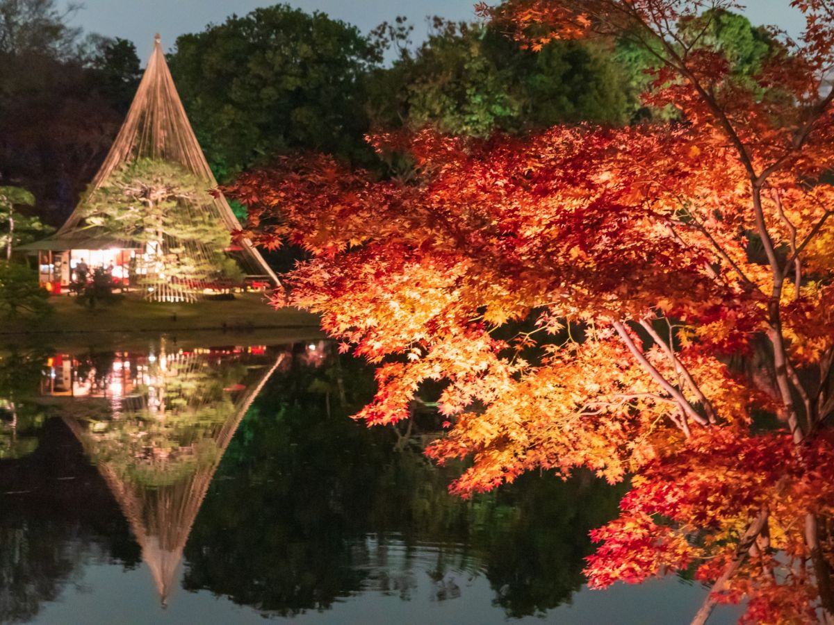 六義園の紅葉