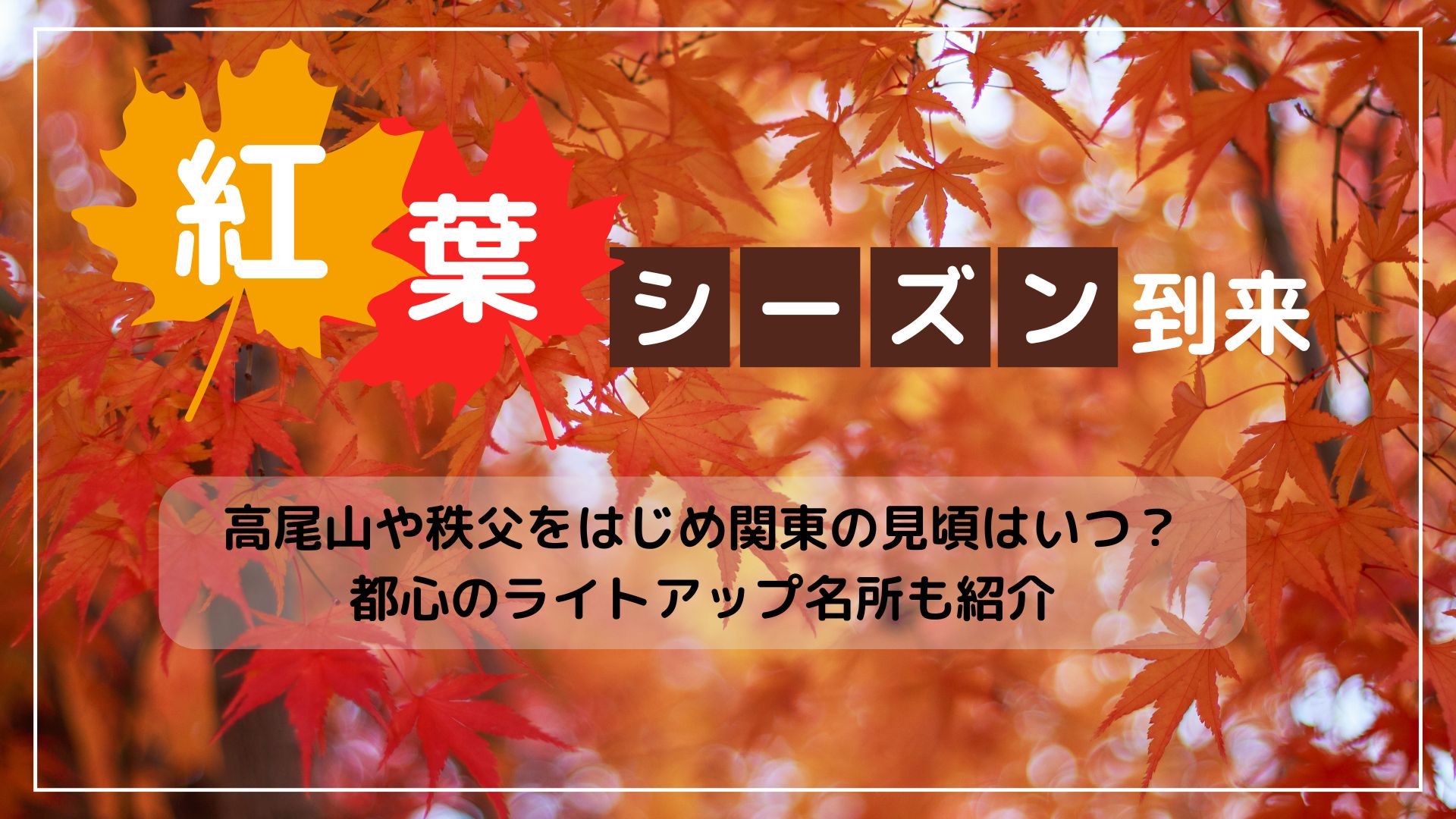 【紅葉シーズン到来】高尾山や秩父をはじめ関東の見頃はいつ？都心のライトアップ名所も紹介