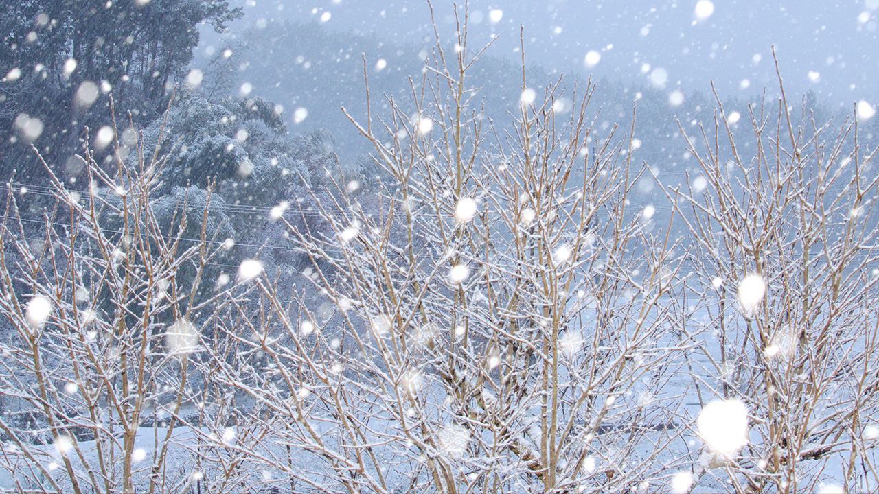 降雪