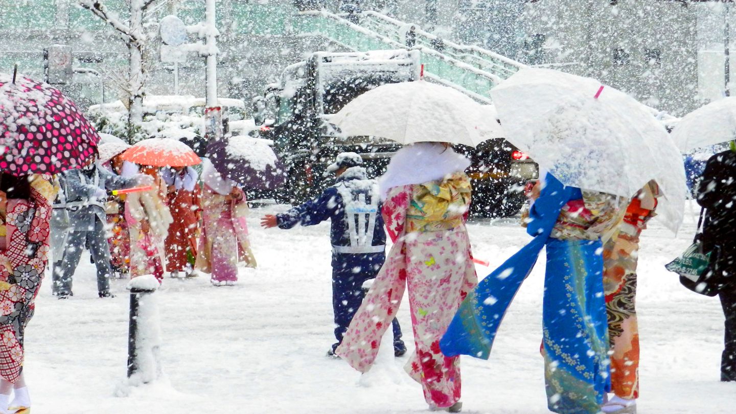 成人の日の雪