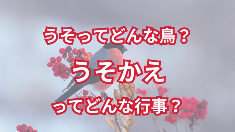 うそってどんな鳥？うそかえってどんな行事？