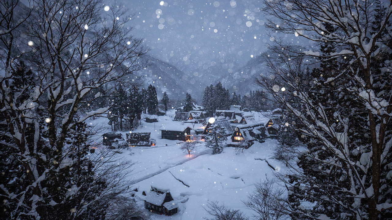 雪の降る様子