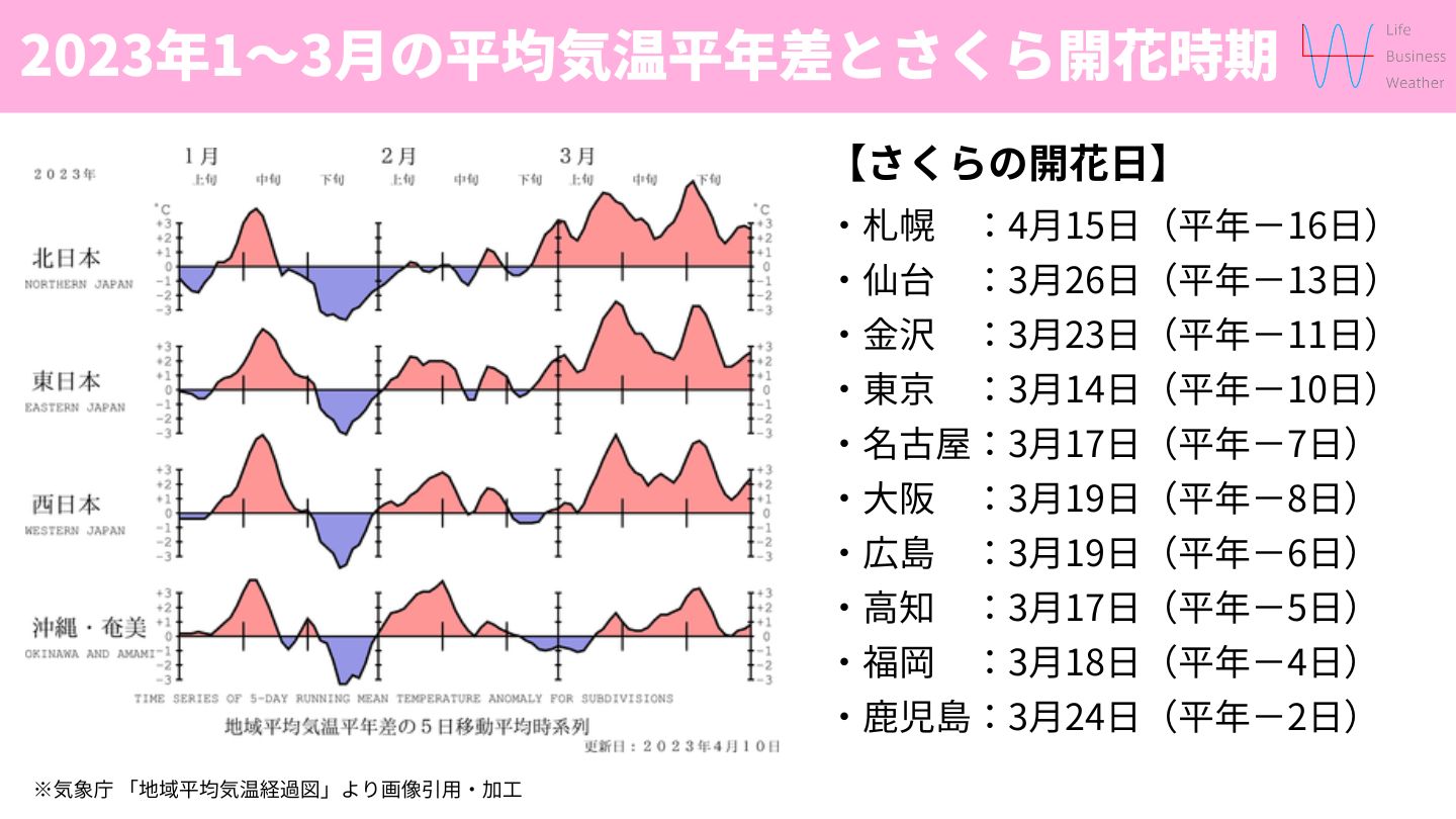 平均気温とさくら開花時期2023年