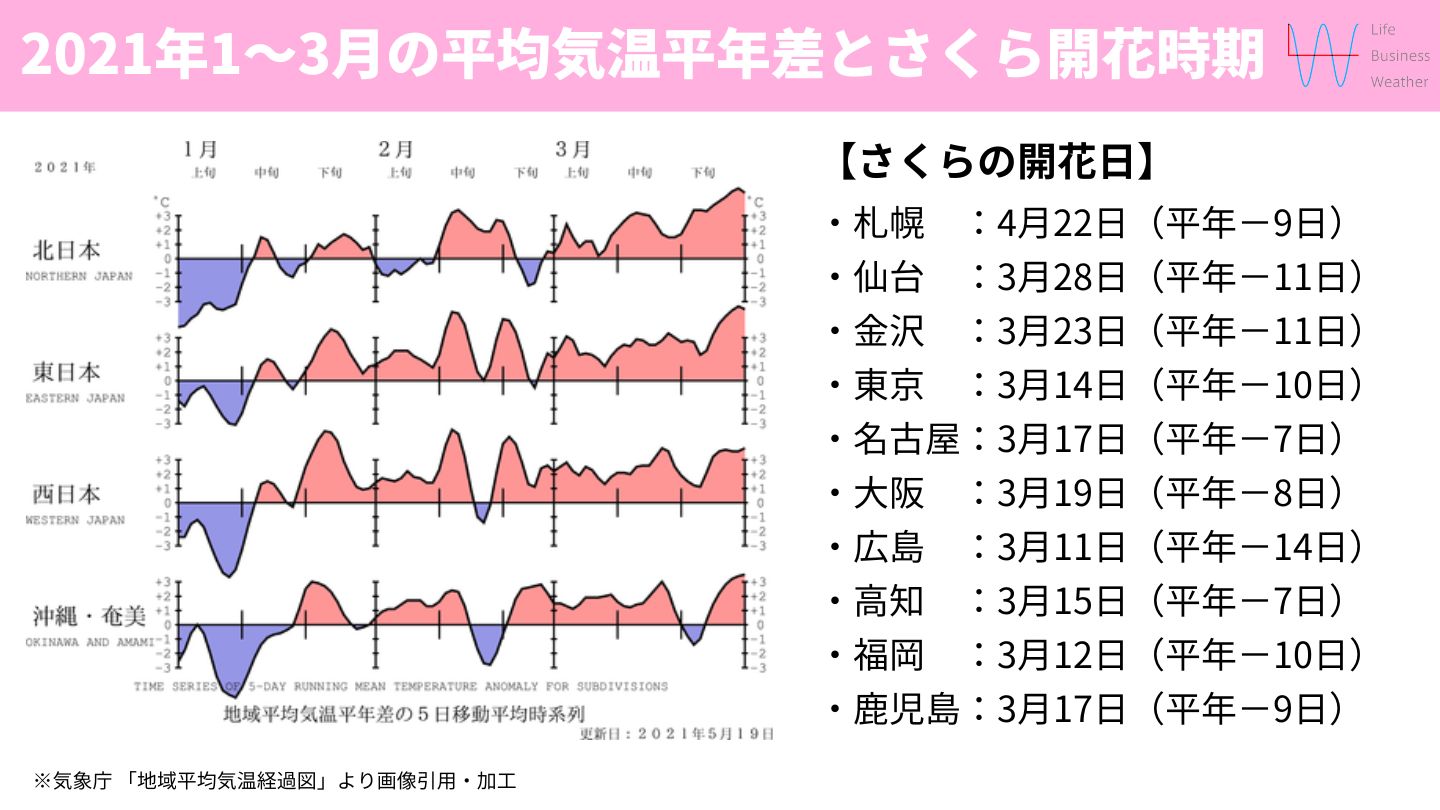 平均気温とさくら開花時期2021年