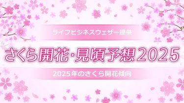 2025年桜開花傾向