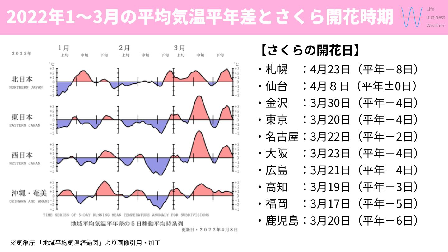 平均気温とさくら開花時期2022年