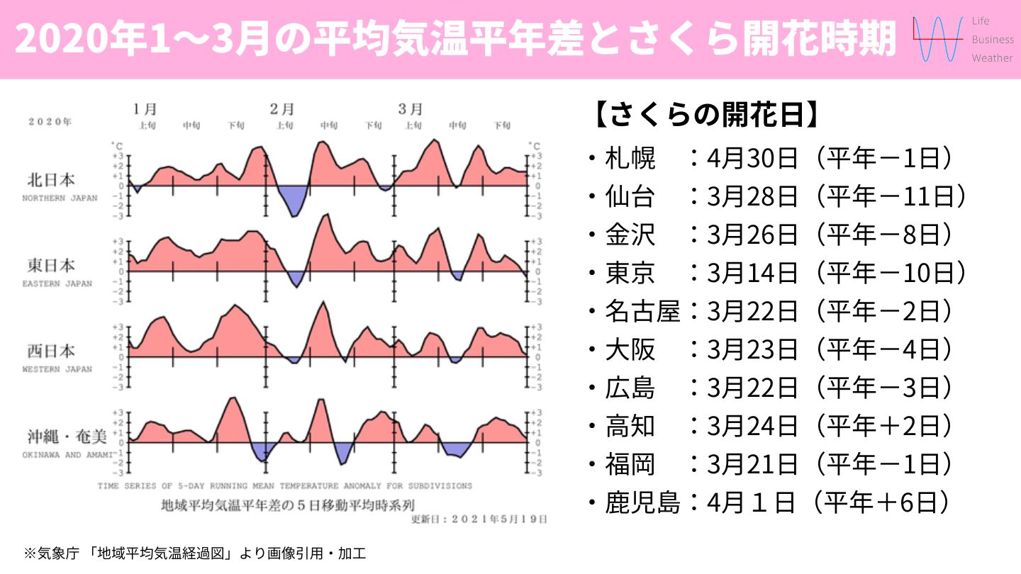 平均気温とさくら開花時期2020年