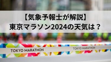 【予報士が解説】東京マラソン2024の天気は？ポイントは『南風』コースも紹介