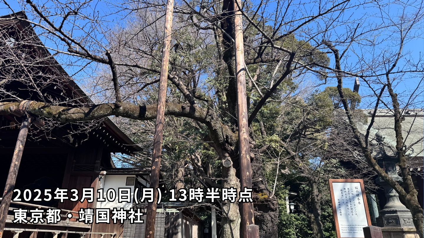 東京都・靖国神社標本木