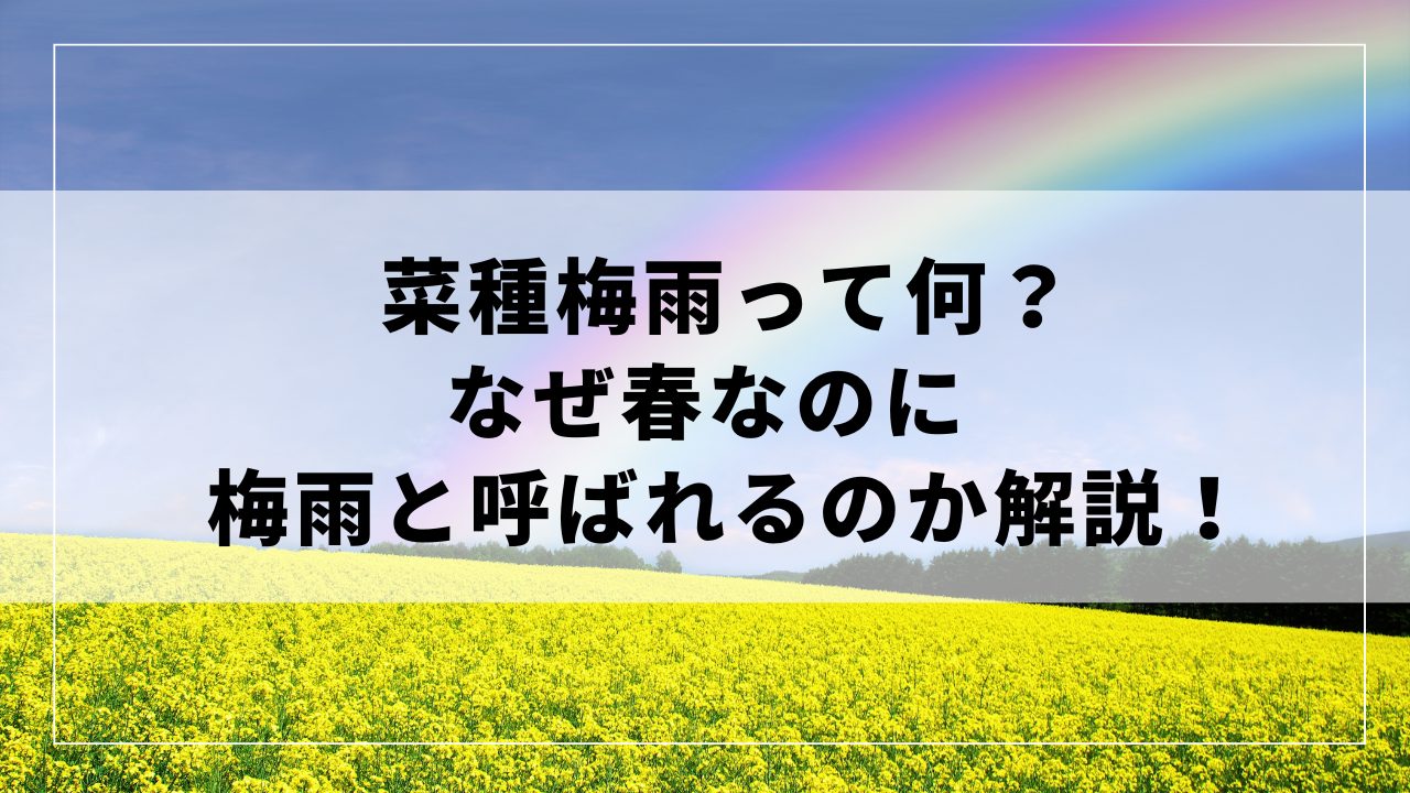 菜種梅雨って何？なぜ春なのに梅雨と呼ばれるのか解説！