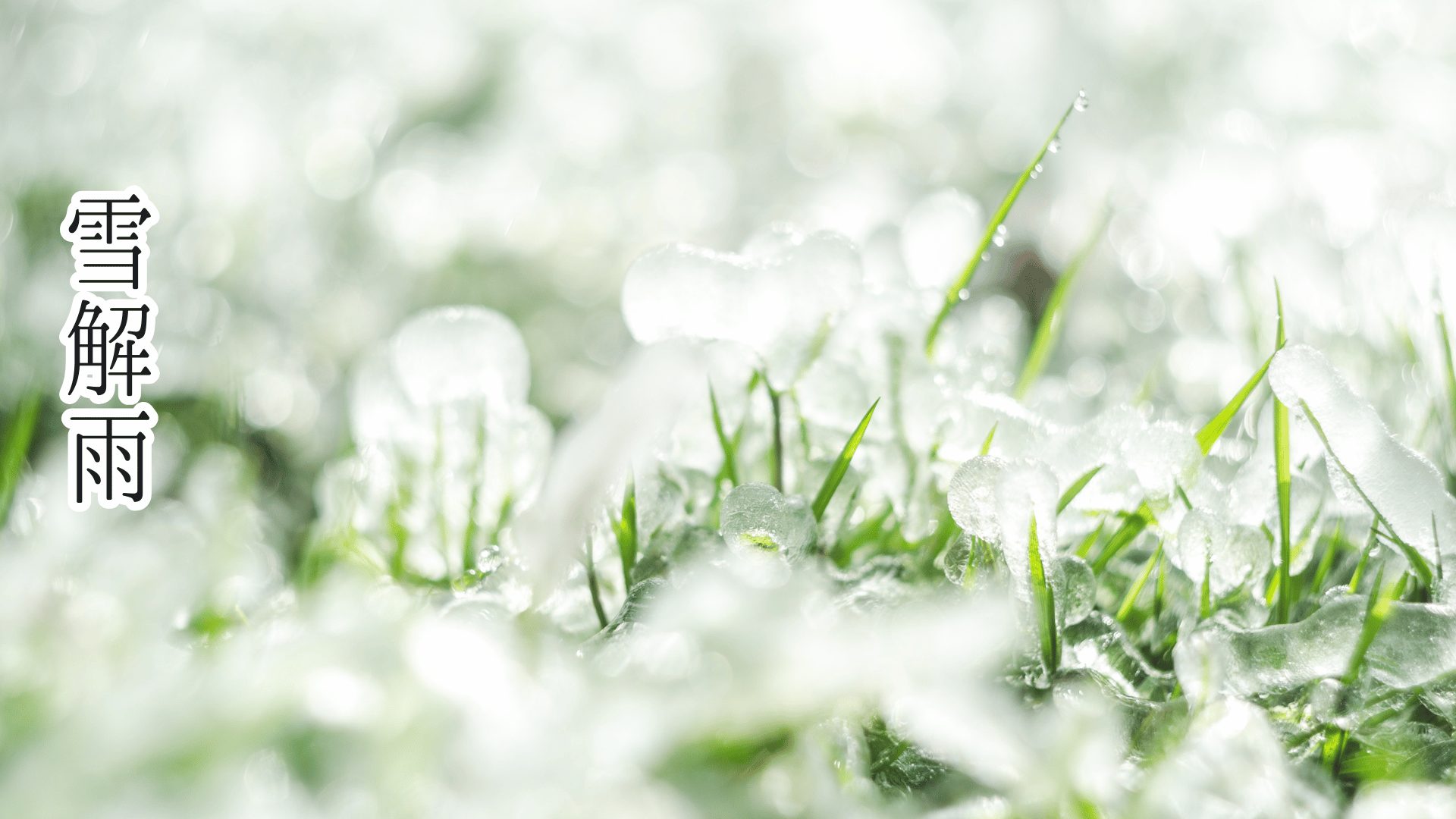 雪解雨