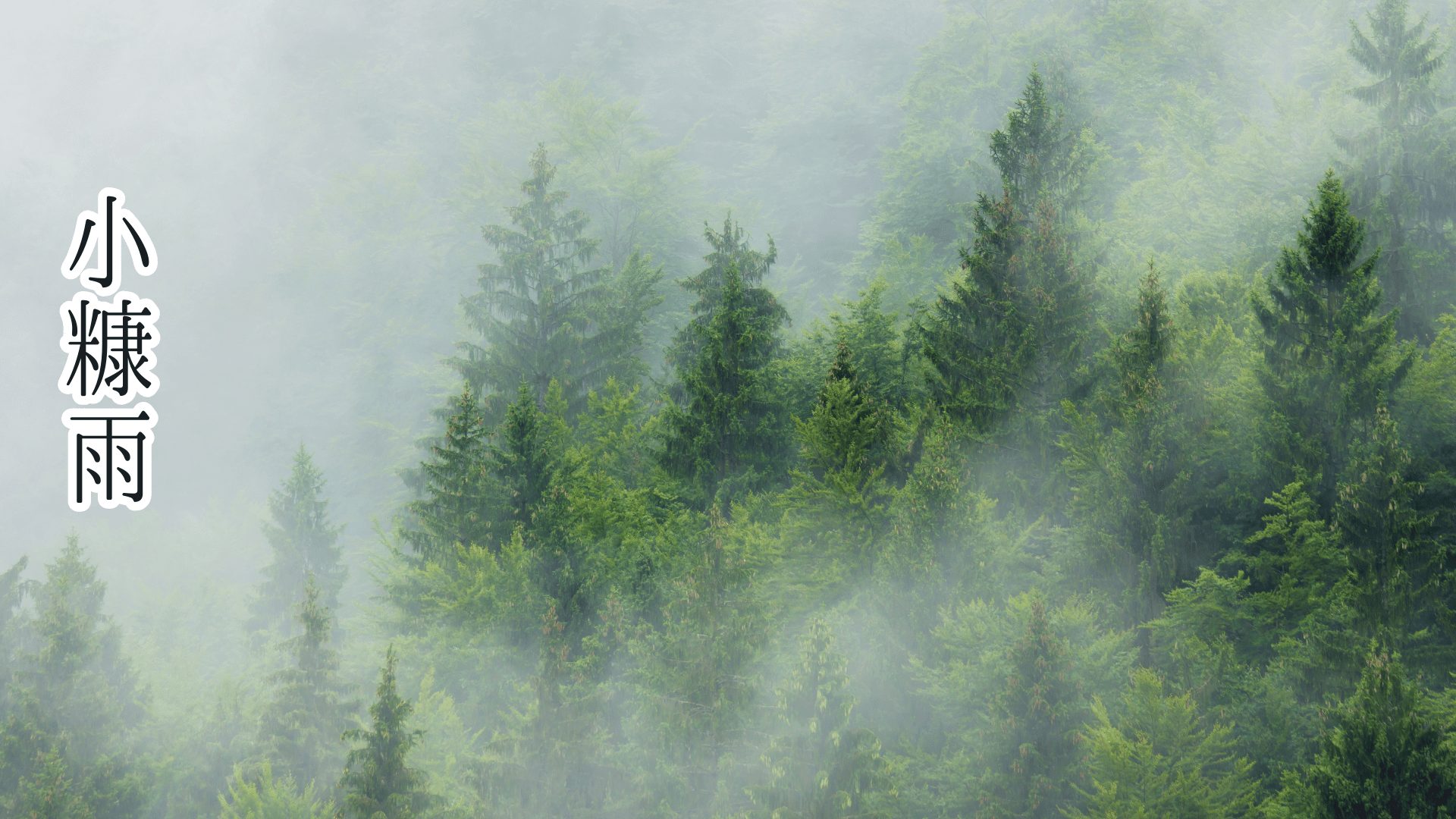 小糠雨