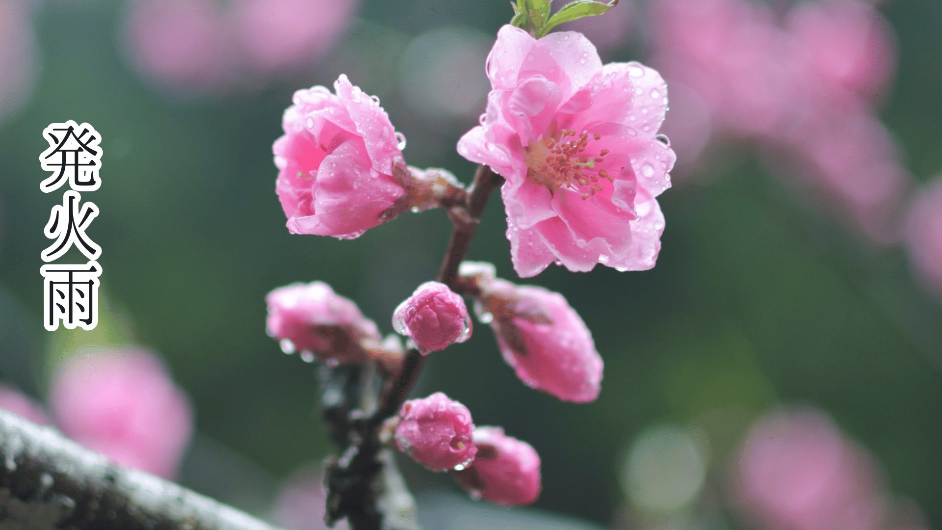 発火雨