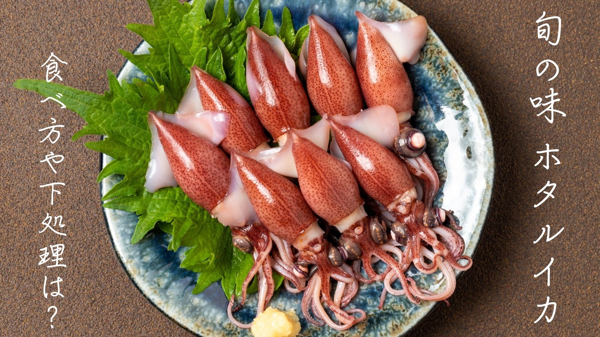 【旬のホタルイカ】富山県の漁獲量と気温に関係あり？食べ方や下処理、栄養素も解説