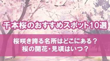 千本桜のおすすめスポット