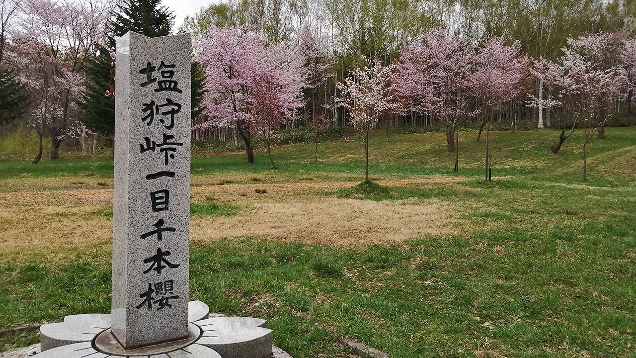 塩狩峠一目千本桜