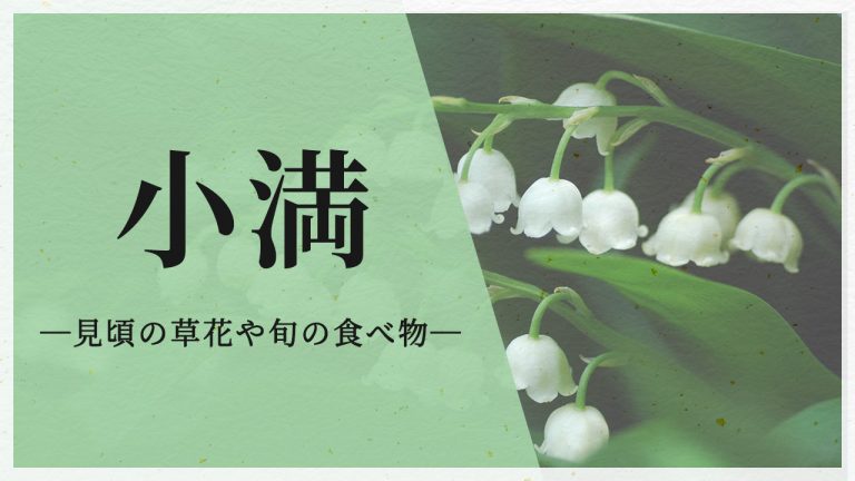 小満