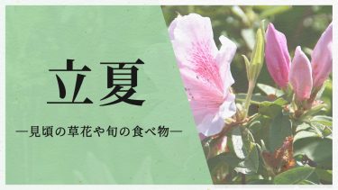 立夏
