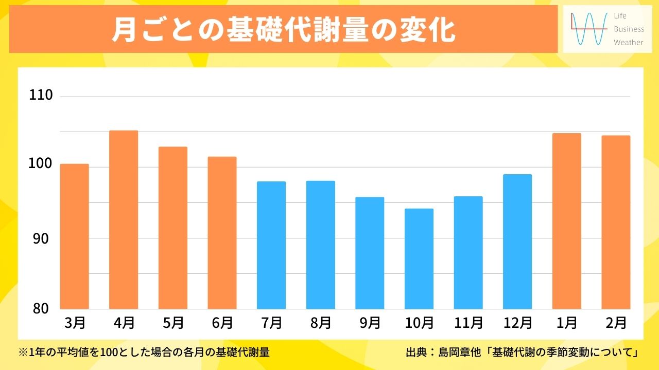 基礎代謝量の季節変動