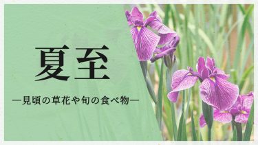 夏至