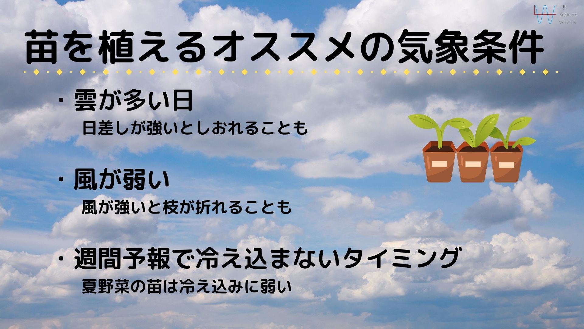 苗を植えるオススメの気象条件