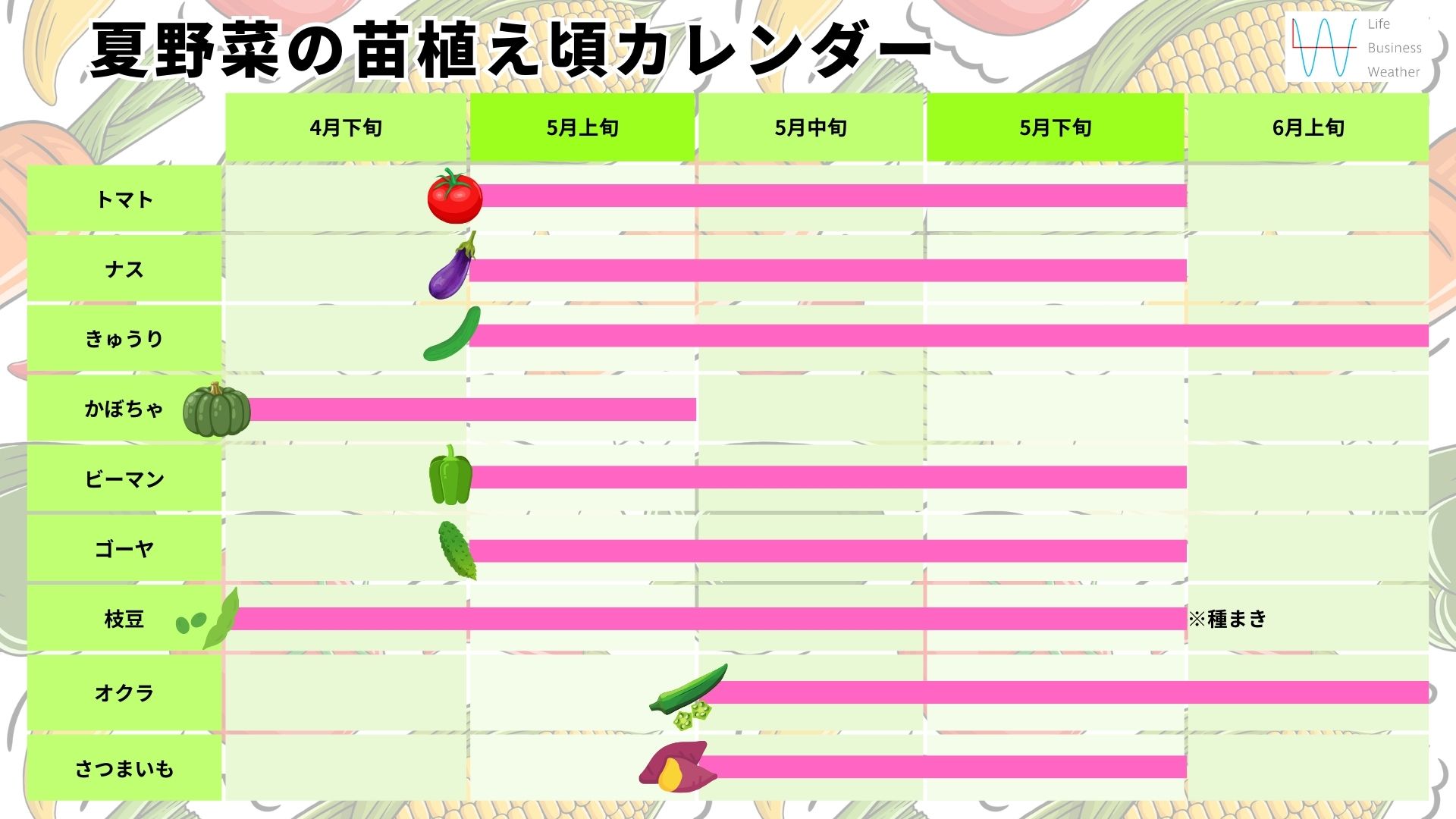 夏野菜の作付けカレンダー