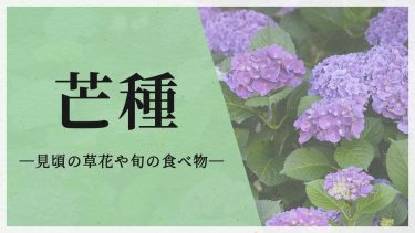芒種