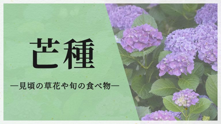 芒種