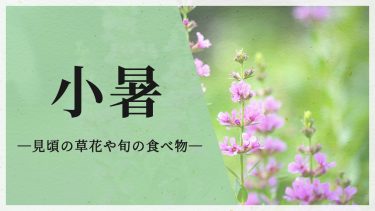 小暑