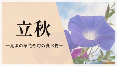 立秋