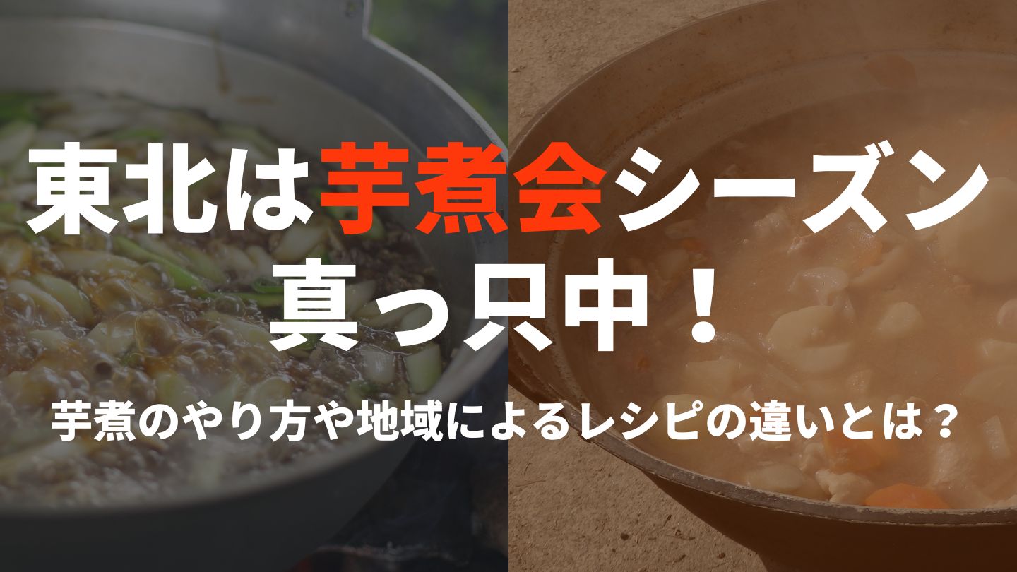 東北は芋煮会シーズン真っ只中！芋煮のやり方や地域によるレシピの違い＝『芋煮論争』とは？