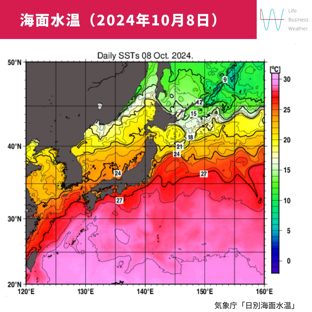 海面水温20241008