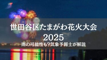 世田谷区花火大会2025