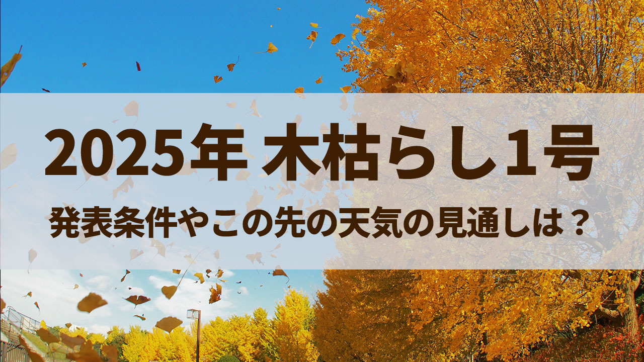 2025年の木枯らし1号はいつ吹く？木枯らしの発表条件やこの先の天気の見通しは？
