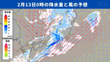 2025年2月11日降水量・風速