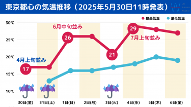 気温推移20250530