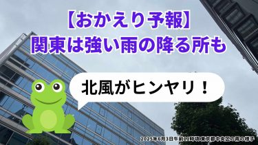 2025年6月3日午前11時頃 東京都中央区の雨の様子